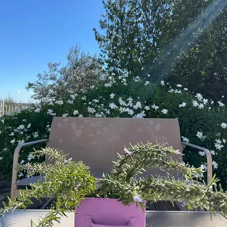 Oda ve Kahvaltı Trullo Canele 34 Alberobello