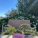 Bed & Breakfast Trullo Canele 34 Alberobello